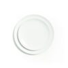 Broken Top Dinner Plate 11"