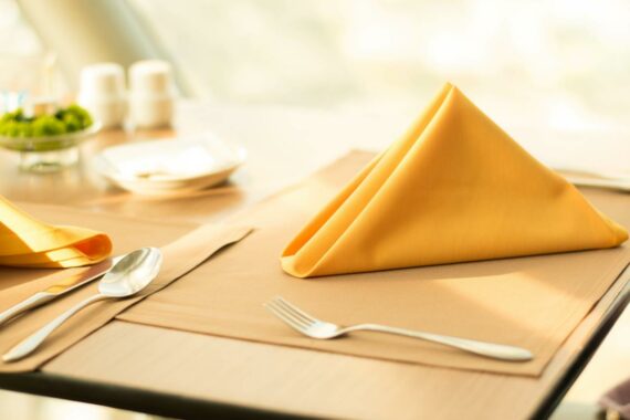 Standard Napkin 1 Standard Napkin