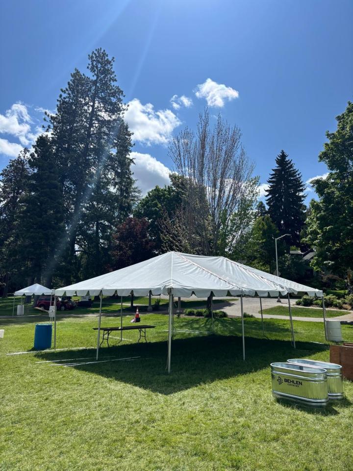 20' x 30' White Canopy