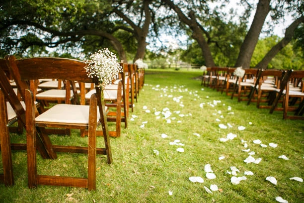 Party Rentals Fruitwood Chair