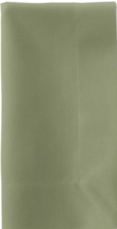 BBJ Napkin